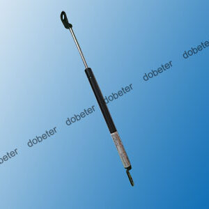 n510013496aa gas spring